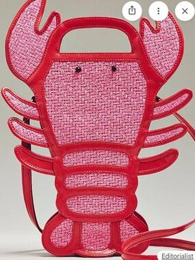 Anthropologie raffia sea creature hand bag